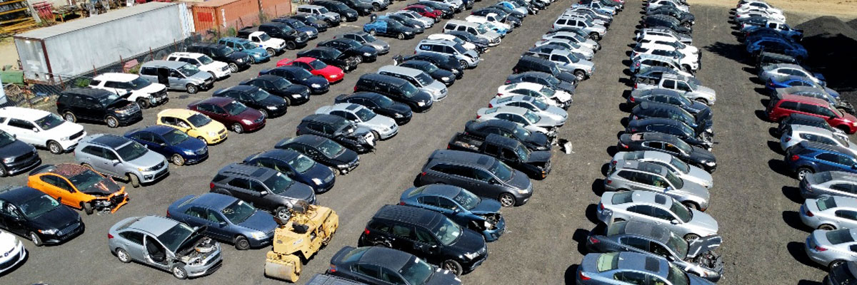An upper angle view of vehicles being parted out at Porchtown Recycling
